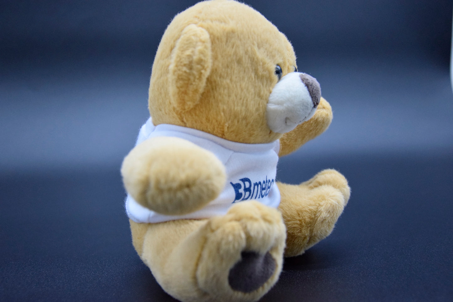 Orso peluche con maglietta "3bmeteo"